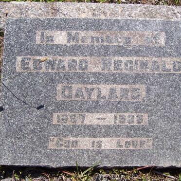 GAYLARD Edward Reginald 1867-1939