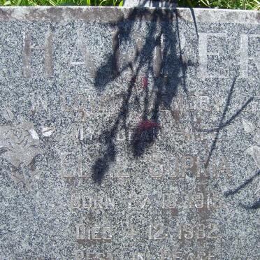 HARBER Elsie Sophia 1915-1982