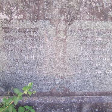 LEACH Edward J. 1870-1956 &amp; Magdalena H.C. 1876-1959