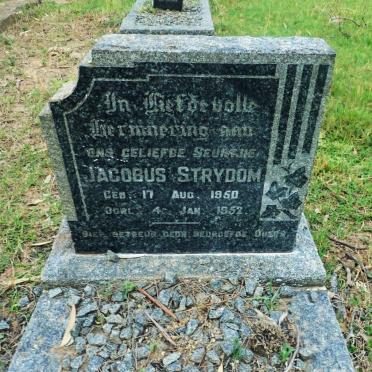 STRYDOM Jacobus 1950-1952
