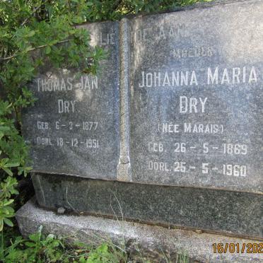DRY Thomas Jan 1877-1951 &amp; Johanna Maria MARAIS 1869-1960