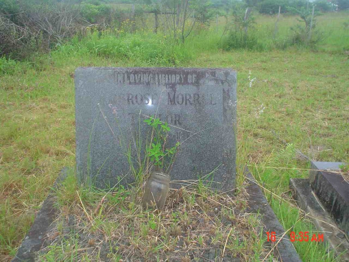 TAYLOR Ambrose Morrell 1892-1959
