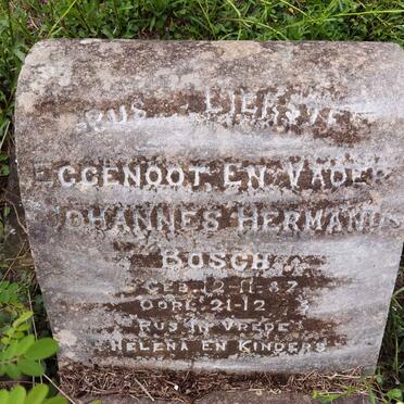 BOSCH Johannes Hermanus 1887-1943