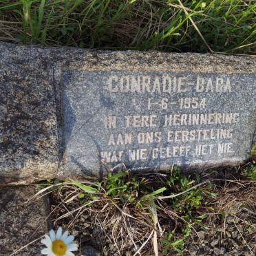 CONRADIE -1954