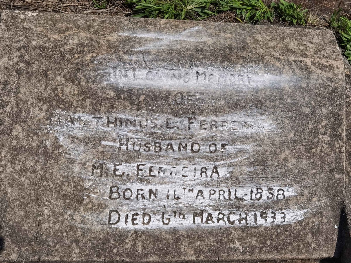 FERREIRA Marthinus E. 1858-1933
