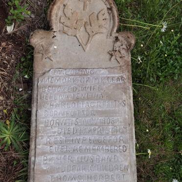 GRIFFITHS Hellna Jenlina Charlotta nee PUTTER 1908-1947