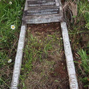 GREEN Geoffrey Richard Hall 1904-1907