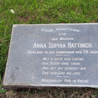 HATTINGH Anna Sophia