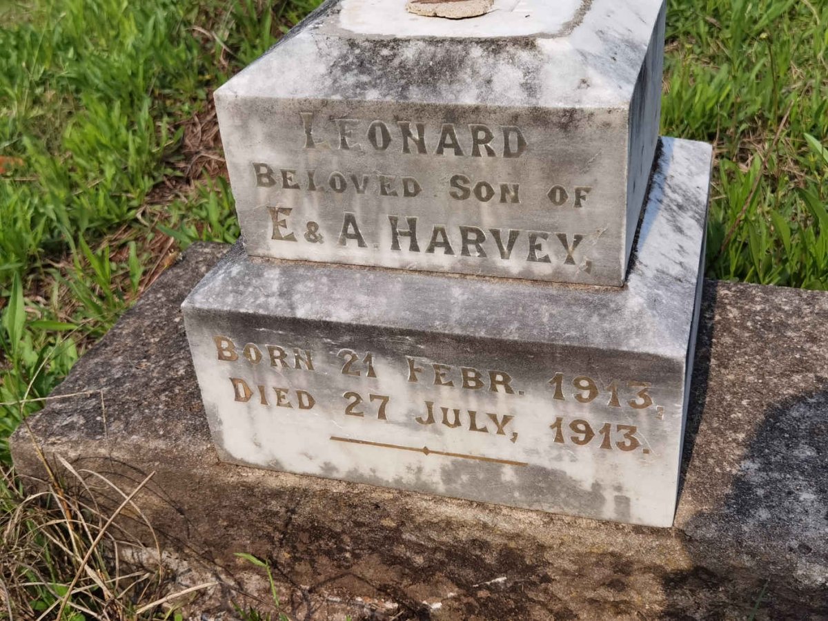HARVEY Leonard 1913-1913