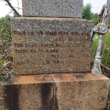 JELLIMAN Wallace Stanford 1901-1916