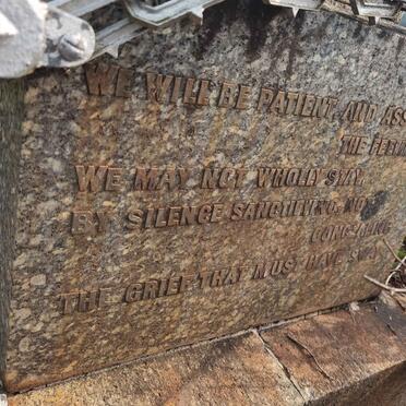 JELLIMAN Wallace Stanford 1901-1916