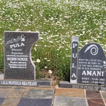 PULA Mcebisi Patrick 1967-2015 :: PULA  Amani 2001-2015