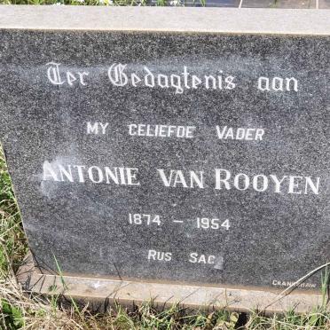 ROOYEN Antonie, van 1874-1954
