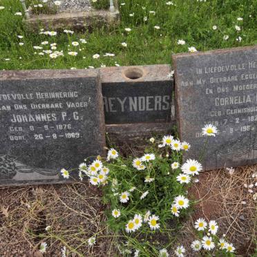 REYNDERS Johannes P.C. 1876-1963 &amp; Cornelia H. GERMISHUIZEN 1877-195?
