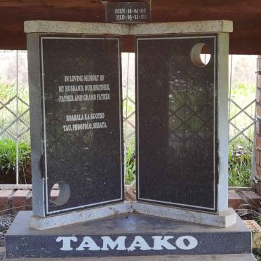 TAMAKO ? 19?7-2015