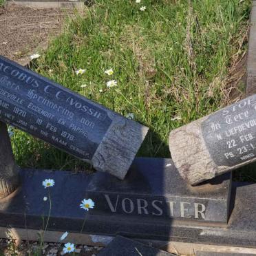 VORSTER Jacobus C.C. 1920-1978 &amp; Stoffelina J. 1924-1991