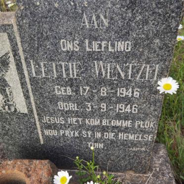 WENTZEL Lettie 1946-1946
