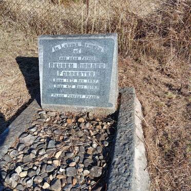 FORRESTER Reuben Richard 1867-1910