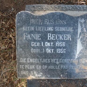 BECKER Fanie 1956-1956