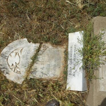 BEYLEVELD Gerrie 1915-192?