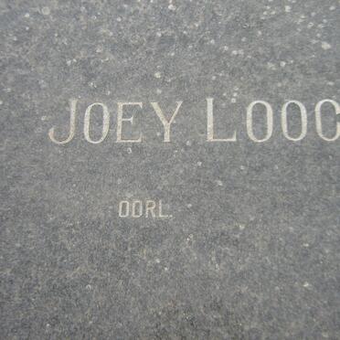 LOOCK Joey