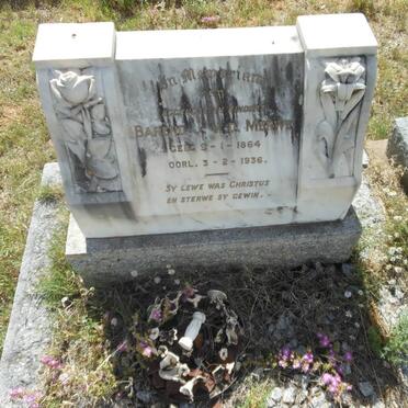 MERWE Barend J.  1864-1936