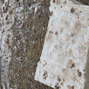 ? Anna Susanna 1896-19??