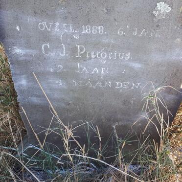 PRETORIUS C.J. -1888