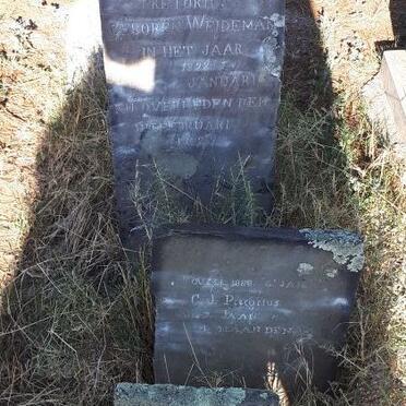 PRETORIUS Johannes Lodewikus 1823-1896 &amp; Anna Fredrica WEIDEMAN 1828-1902 :: PRETORIUS C.J. -1888