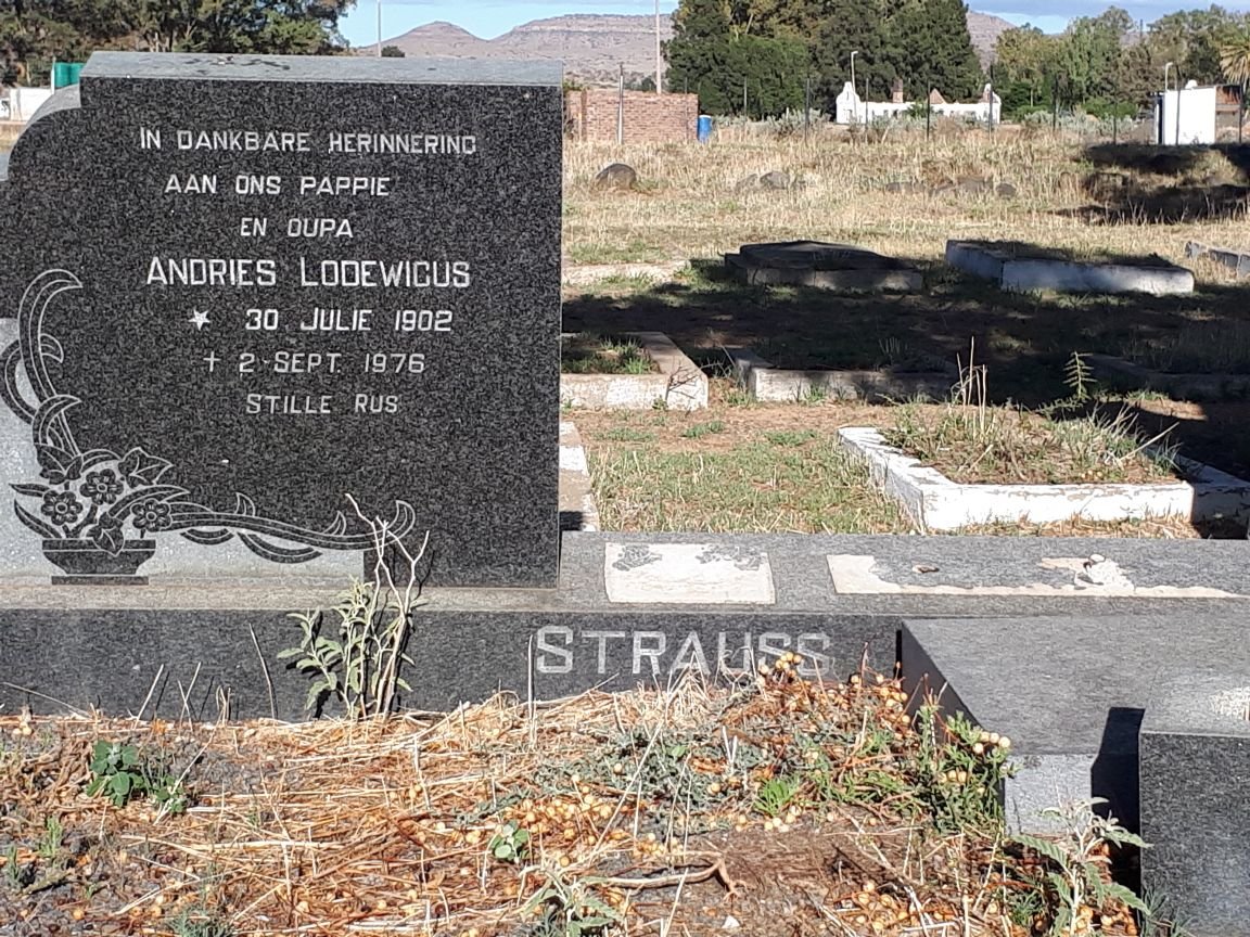 STRAUSS Andries Lodewicus 1902-1976
