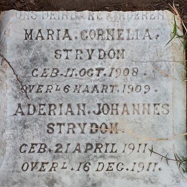 STRYDOM Maria Cornelia 1908-1909 :: STRYDOM Aderian Johannes 1911-1911