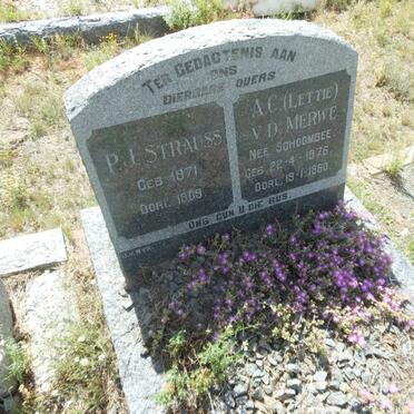 STRAUSS P.J. 1871-1909 &amp; A.C. VAN DER MERWE nee SCHOOMBEE 1876-1960