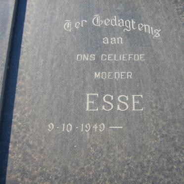 VORSTER Marius 1945-2001 &amp; Esse 1949-