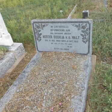 WALT Hester Cecilia, v.d. 1889-1955