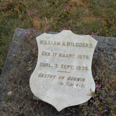 WILCOCKS William A. 1870-1933