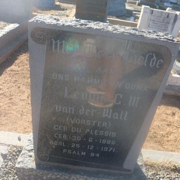 WALT Levina C.M., van der voorheen VORSTER nee DU PLESSIS 1886-1971