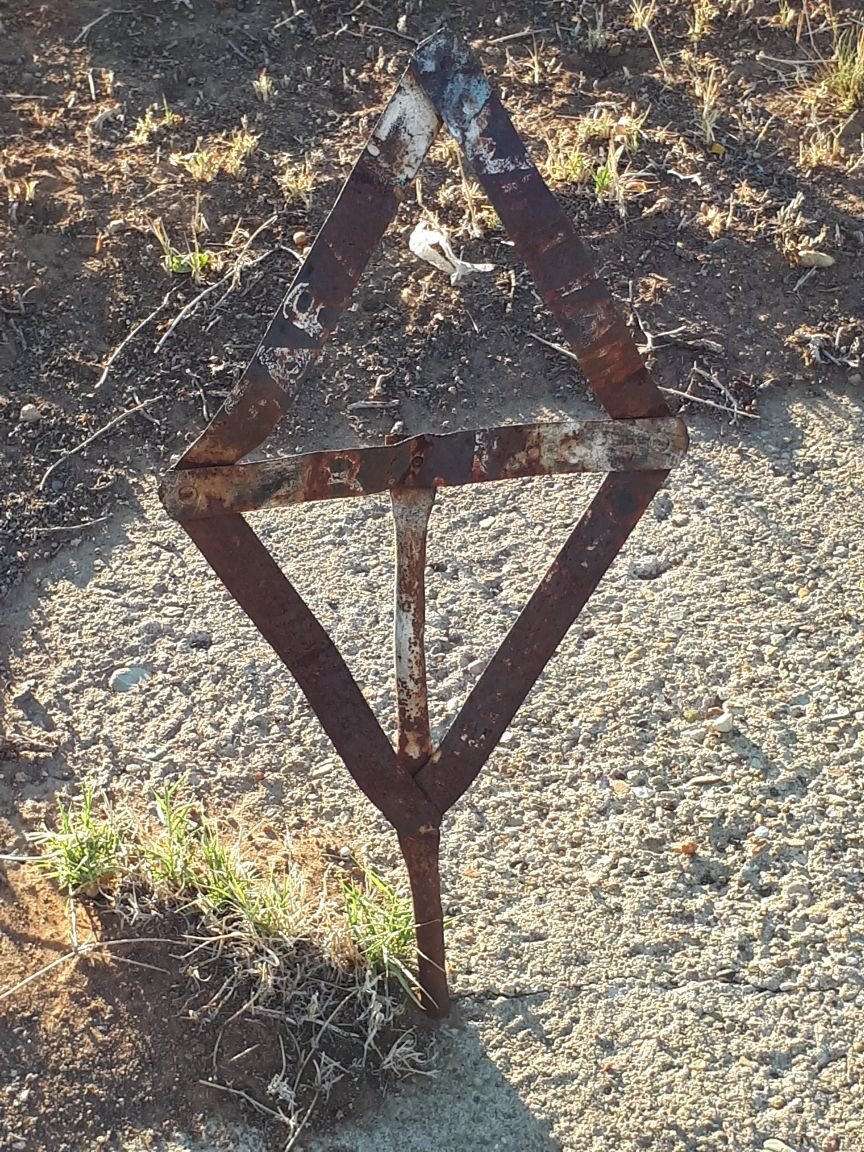 ? Sarel ?