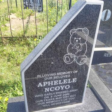 YONO Thamsanqa -? :: NCOYO Aphelele -2000 :: NCOYO Sisonke -2000 _3