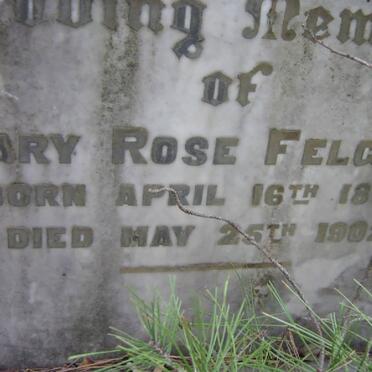 FELGATE Mary Rose 1898-1902