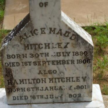 MITCHLEY Hamilton 1901-1902 &amp; Alice Maud 1890-1906