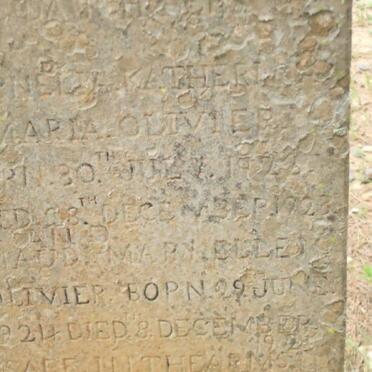 OLIVIER Cornelia Katherine Maria 1923-1923 :: OLIVIER Maud Mary Ellen 1924-1925?