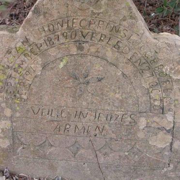 PRINSLOO Anthonie C. 1879-1918