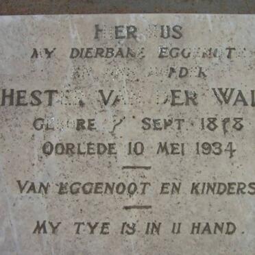 WALT Hester, van der 1888?-1934