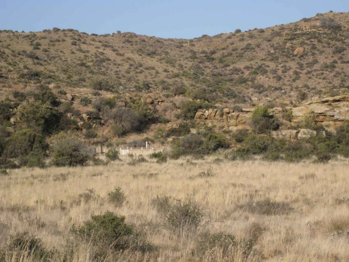 1. Overview