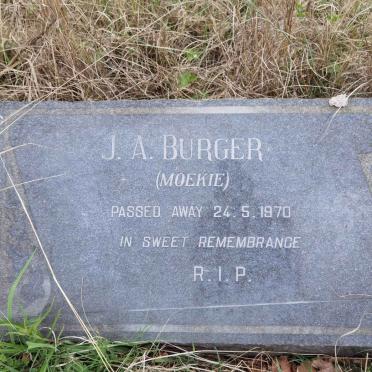 BURGER J.A. -1970
