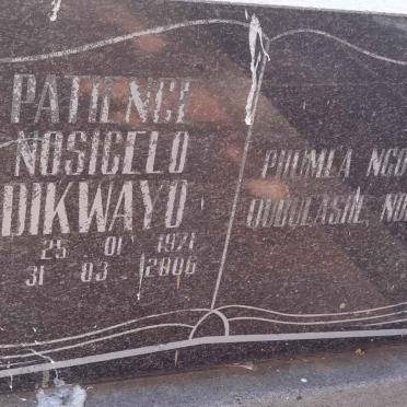 DIKWAYO Patience Nosicelo 1971-2006