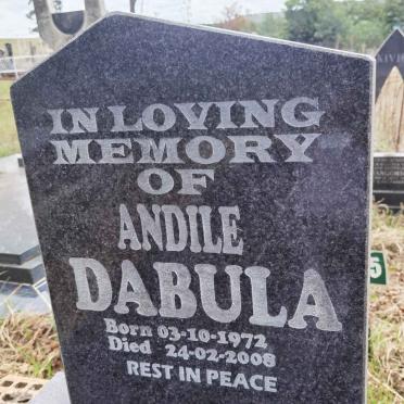 DABULA Andile 1972-2008