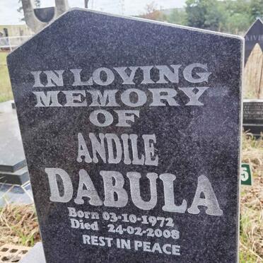 DABULA Andile 1972-2008