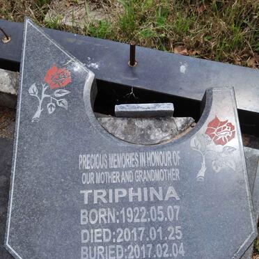 HLOMBE Synod 1920-1995 &amp; Triphina 1922-2017