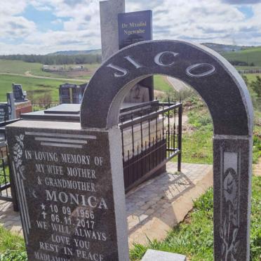 JICO Monica 1956-2017